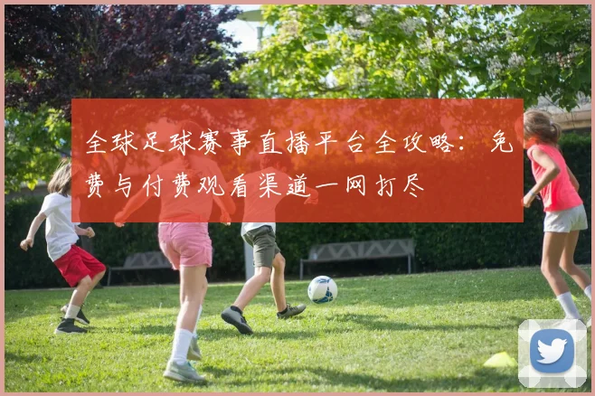 全球足球赛事直播平台全攻略：免费与付费观看渠道一网打尽