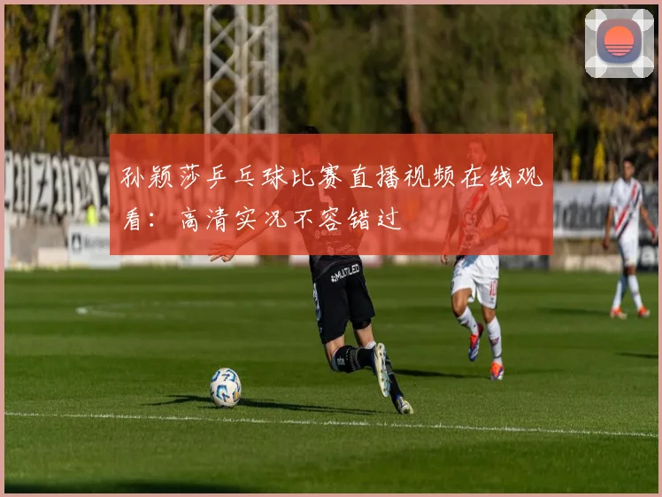 孙颖莎乒乓球比赛直播视频在线观看：高清实况不容错过